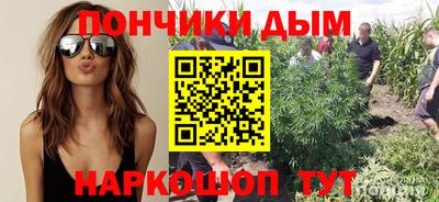 ПСИЛОЦИБИНОВЫЕ ГРИБЫ Лесосибирск