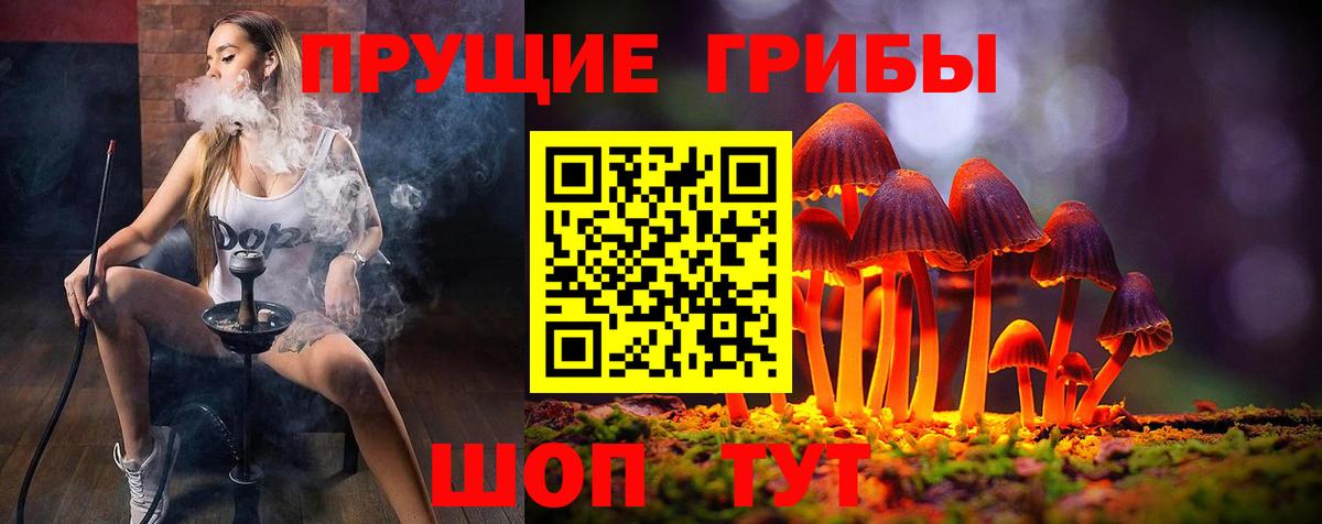 Чебаркуль  Псилоцибиновые грибы прущие грибы  Вход с VPN 