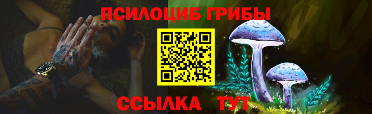 Галлюциногенные грибы Psilocybe Чебаркуль